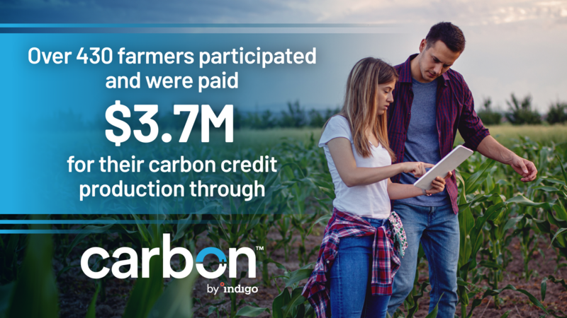 Carbon Credit 2638185647385823495638191722177771697